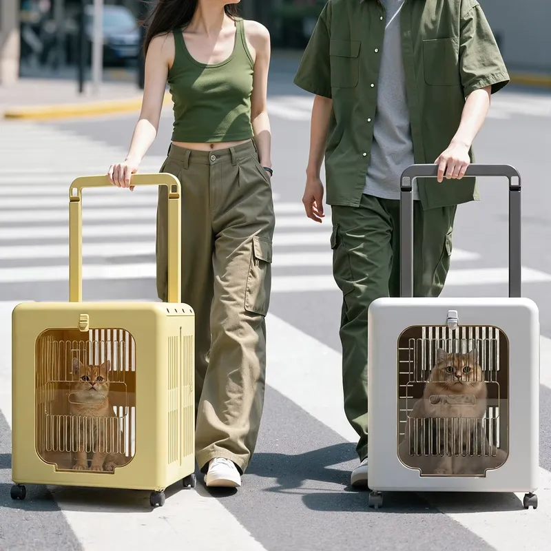 Transportadora de Luxo PP para - Luxury Bags Wholesale avaliação e preço